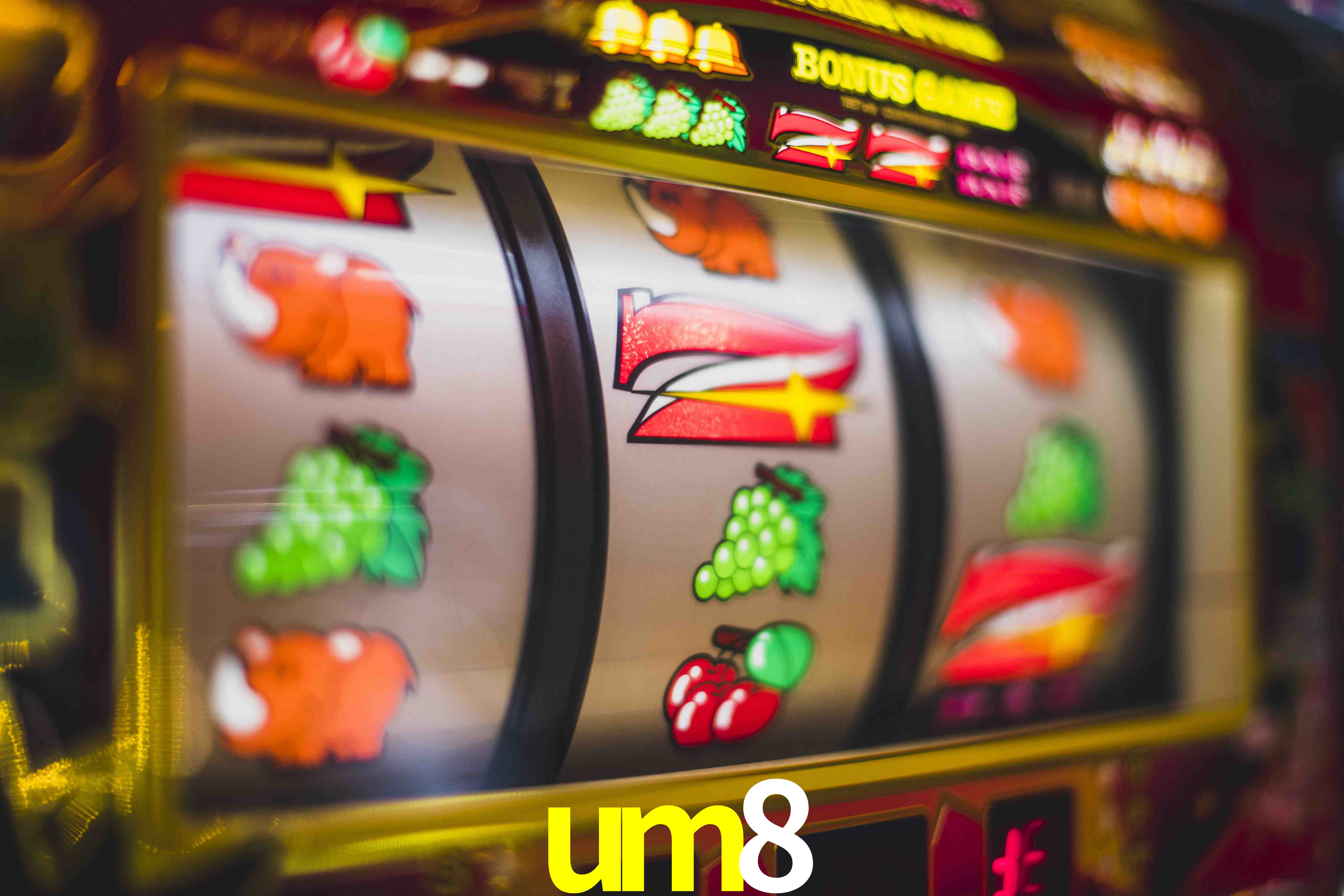 Sports Statistics um8